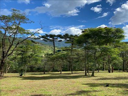 Terreno à Venda